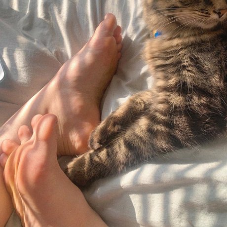 darcy taylor best model pic