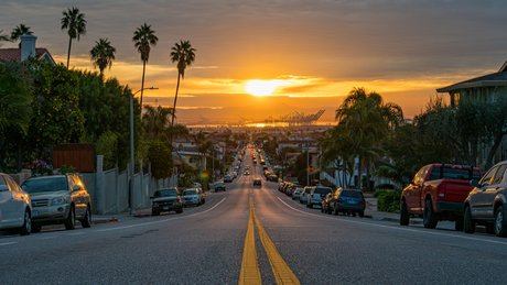 u52561117 star erotic image