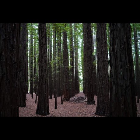 B3njamiv adult actress pictures