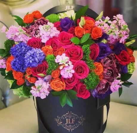 _Princes Dolltje_ star best images