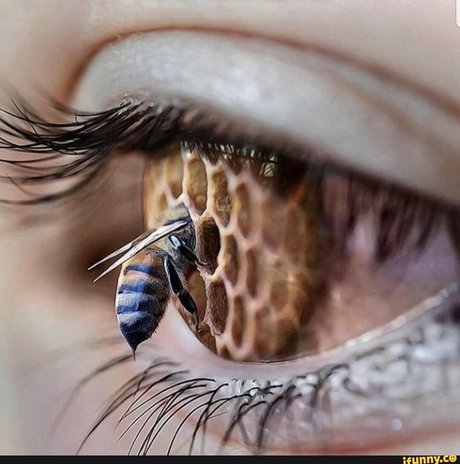 Toastmeister00 best actress gallery