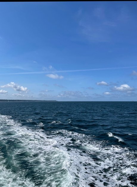 Tobias amp amp Johan model nice image