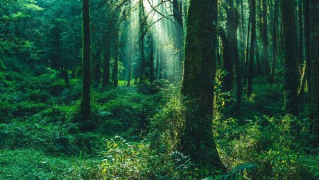 u211992439 pornstar beautiful pictures