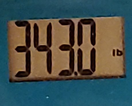 PudgyLovin_ erotic star image