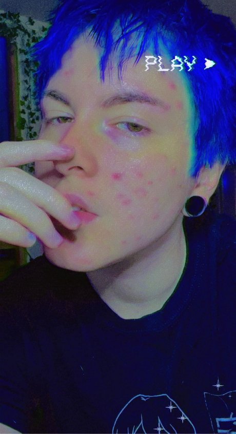 punk puppy model pretty archive