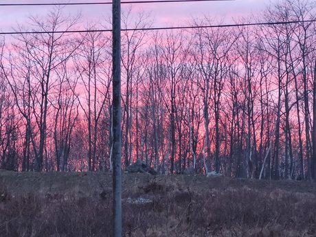 Pocky Kitty beautiful star gallery