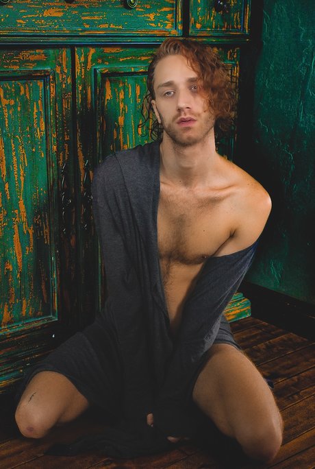 Sylveztor Steelbone model hd photos