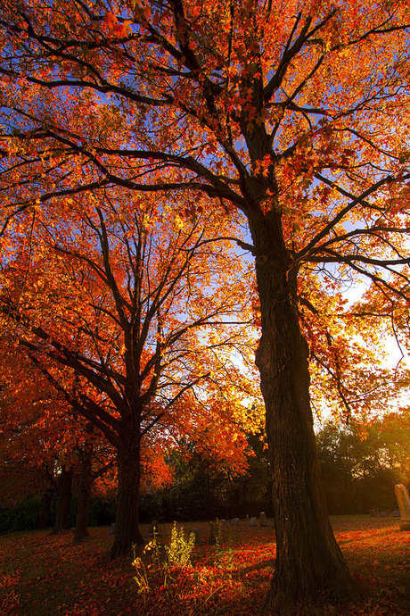 sp00pygirl pornstar naked pic