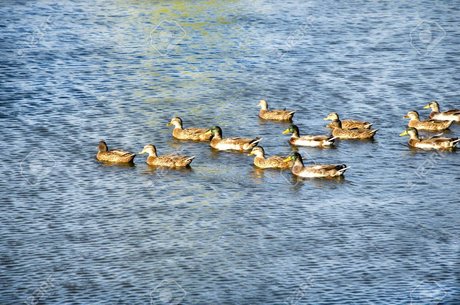 Jay D Quackers hot model photos