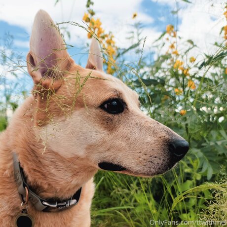 Topless talks with Mel star porn galleries