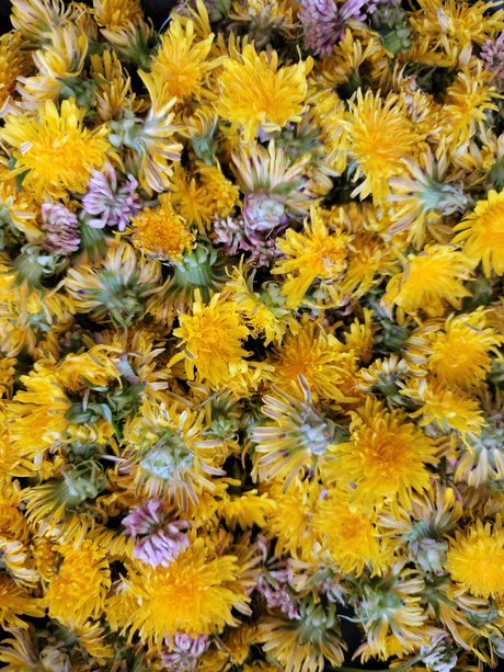 Topless talks with Mel pornstar perfect pics