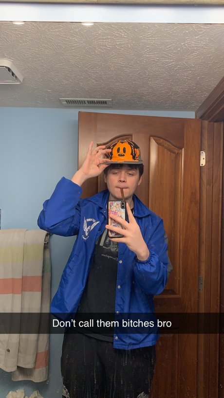 Pebo star high quality gallery