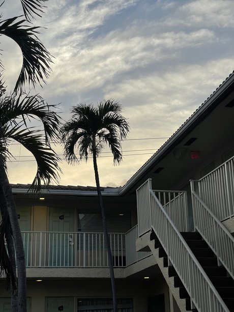 The Homoscorpion model hot pic