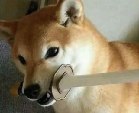 Diddy pup star art photos