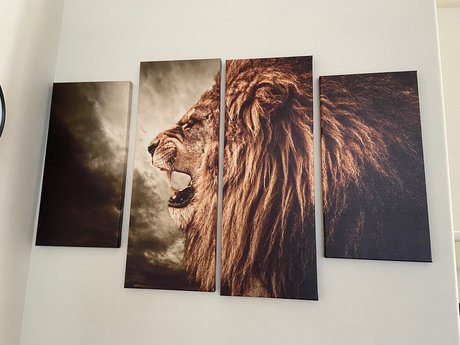 Skittles9993 star beautiful images