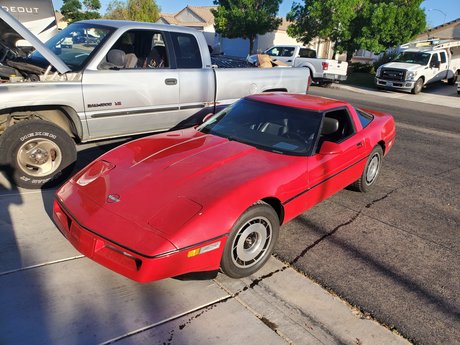 sdjustice09 pornographic actress gallery