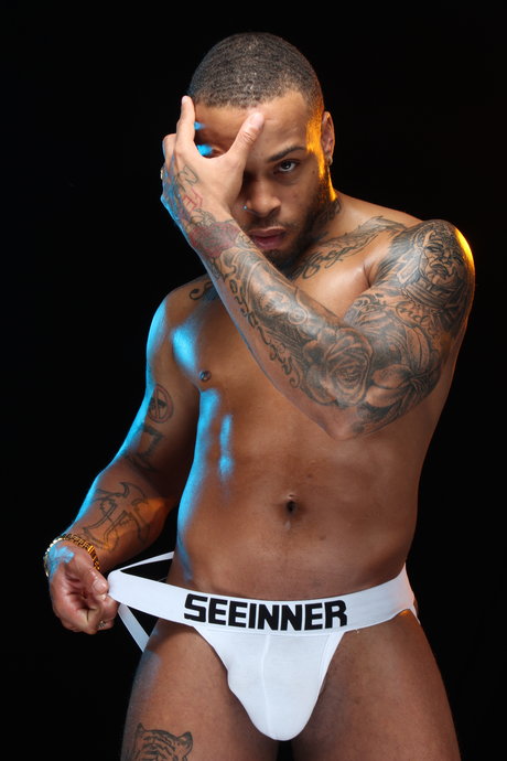 W3stXL best pornstar gallery