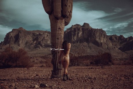 Mrs Wanderer Free hd star images