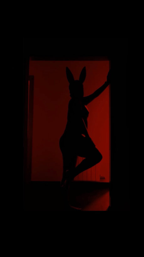 Nikki VIP xxx star archive