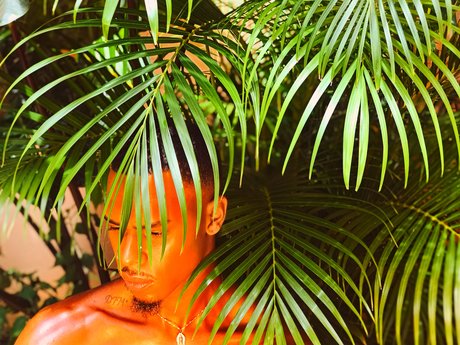 Pisan Dreams nude actress picture