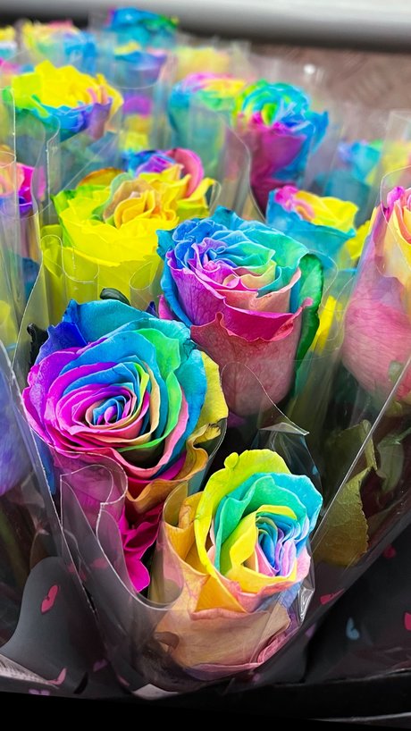 Kirstie adult star pics