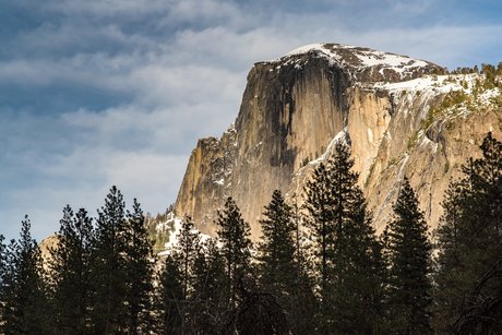 shine nude star galleries