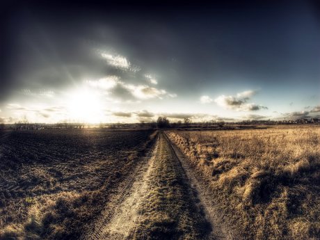 Oswaldo Gutierrez pornstar photos