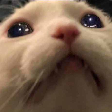 Sam Salemm actress photos