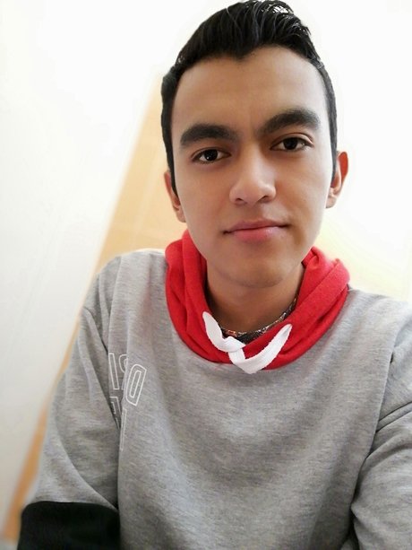 Carlos Daniel S nchez Estrada model nude image