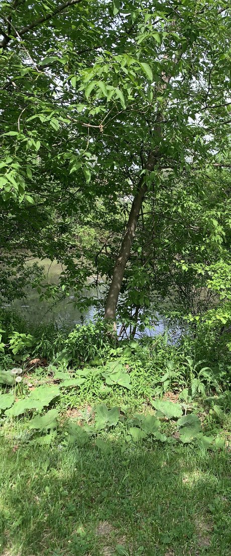 Wont pretty actress pictures