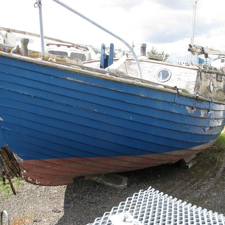 AlcyoneTheSeaking star xxx pic