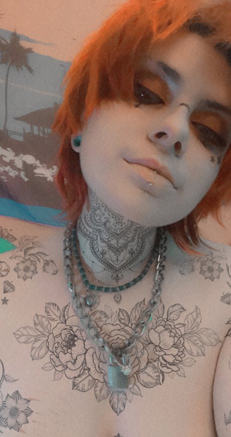 Robin Fox sexy star archive