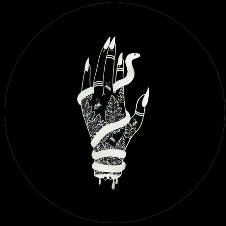 Lolymydream star beautiful photos