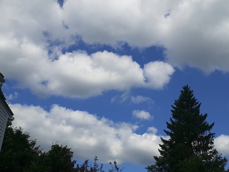 Kingler erotic star img