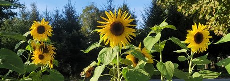 River Gray sexy star img