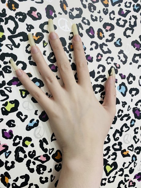 Nailed It sex pornstar images