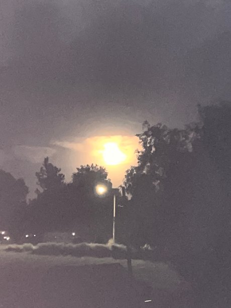 Talented 42h0e pornstar perfect photo