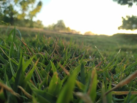 J Victor best actress img