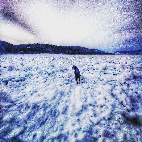 Old Man Willow xxx model photo