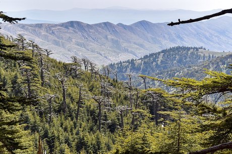 Enkidu erotic actress gallery