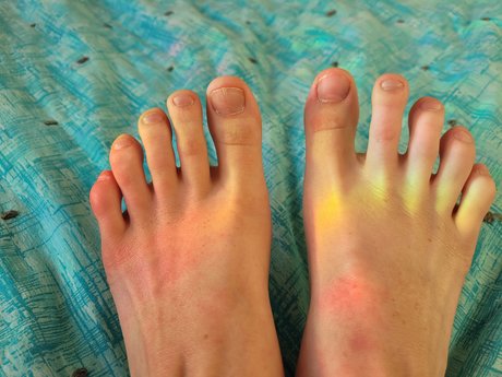 polly podiac pornographic actress picture