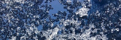 HungHomie pornographic model img