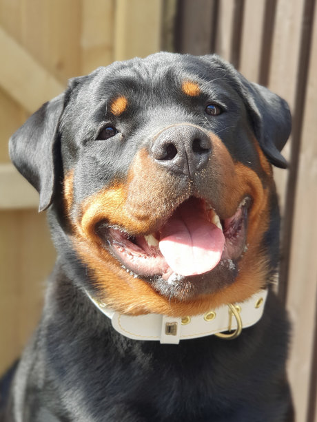 Silkin Day erotic star img