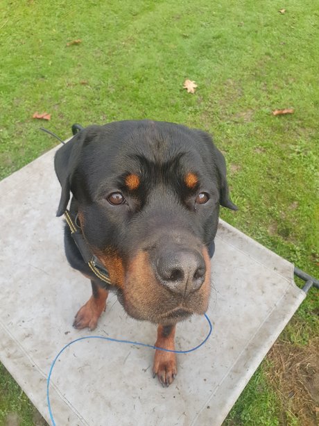 Silkin Day pornstar exclusive archive