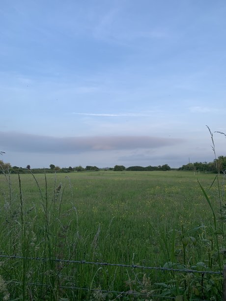 u16293137 model free archive