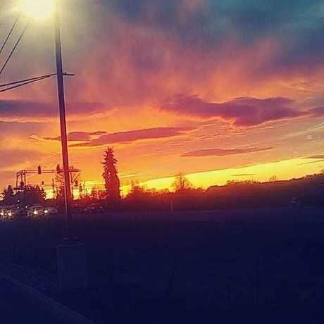 Rose Sanchez pornographic star galleries