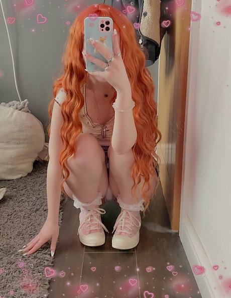 pawified star pretty img