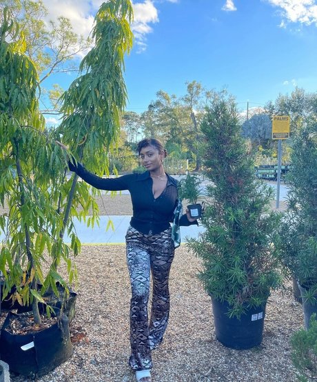 Plantbae hot pornstar img