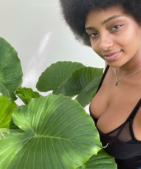 Plantbae erotic star image