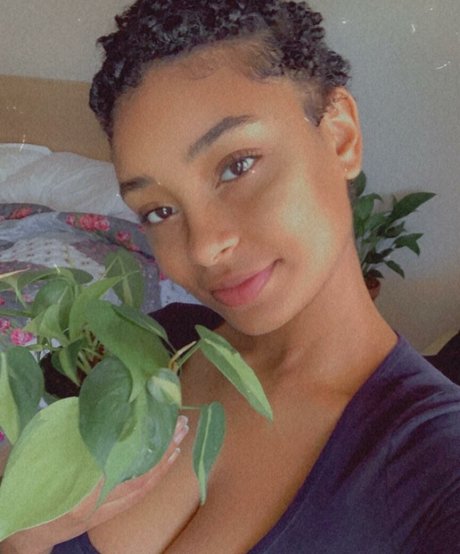 Plantbae star hd photo